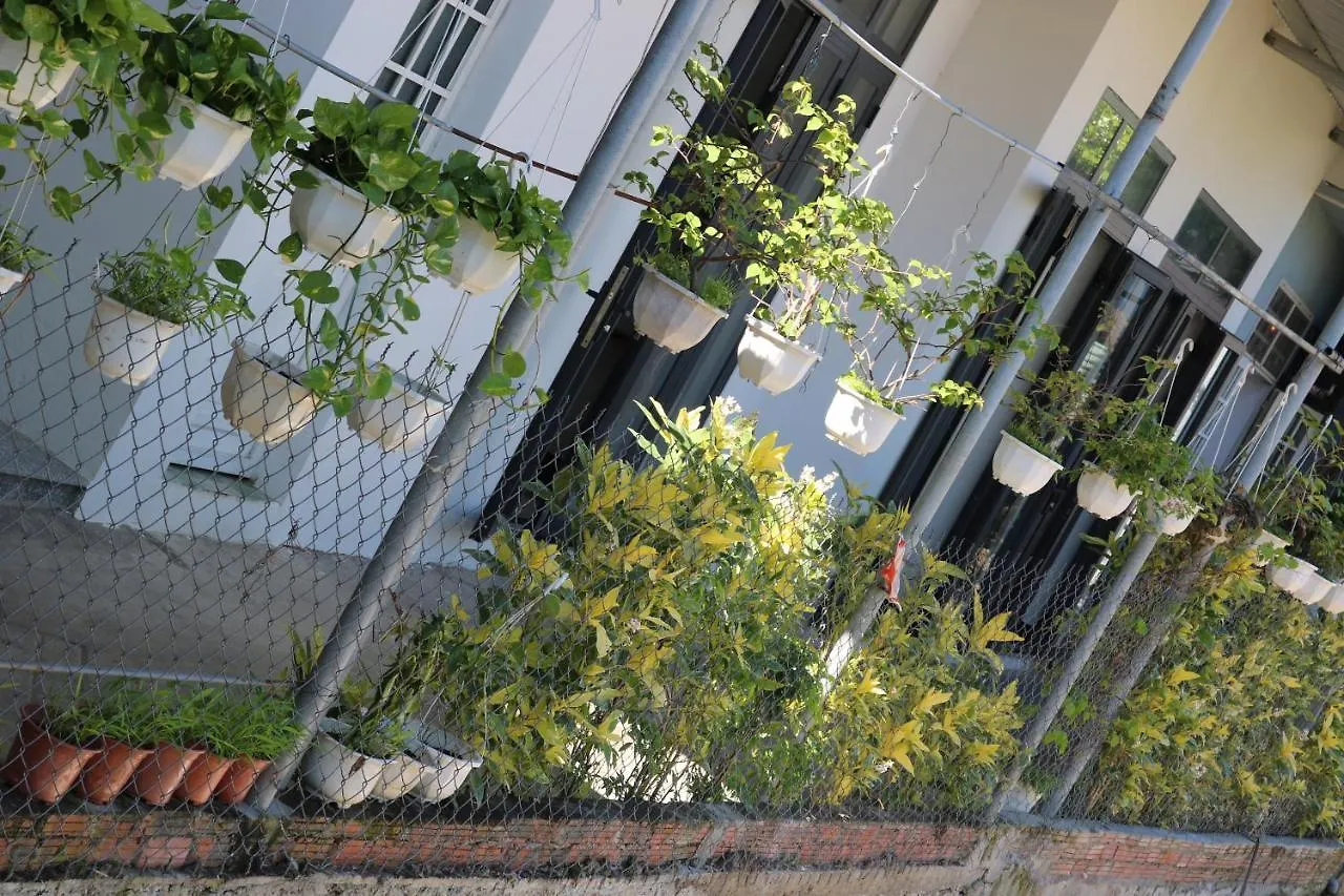 Green Garden House Hoi An